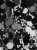 adac70256dedc810c3c8be9d8eb152be