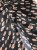 b8c0bc1185acffc58585eecb6ad5e8b5