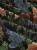 b105622bda468fd29c79be51762eeab4