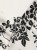 27b2da845c6c8f3ef8b2e09bd4191b2e