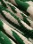 a7883f457ca0a81fcd8c48bc1c5f6102