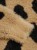 45911a0f4f0eef6144d1ced41b97149e