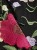 0ab15907b4aae65ef3511ce1861d38eb