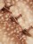 76e2a6d2db88ce157a51b034d3309de8