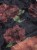 ecea40c15d3a142b6413f9a76bc3c568