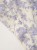 d8a944198d07bf175ce52e83d5f163b0